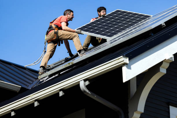 Best Roof Moss and Algae Removal  in South Rosemary, NC